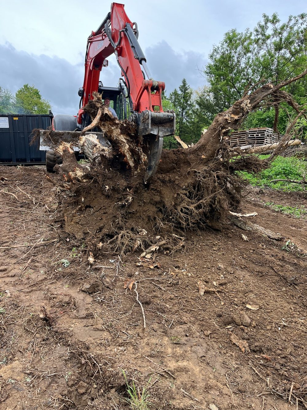 Red excavator removing a large tree stump and roots during site clearing by Beckage in NJ