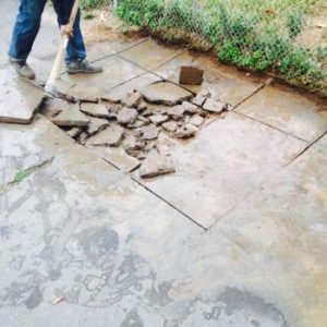 croppedimage350350-100092761497957827155934356318911106916087n2