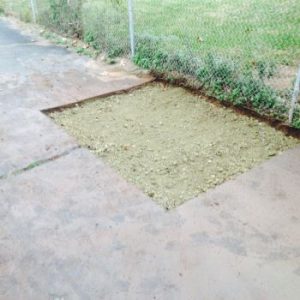 croppedimage350350-161911614979577571559419135539926289324800n